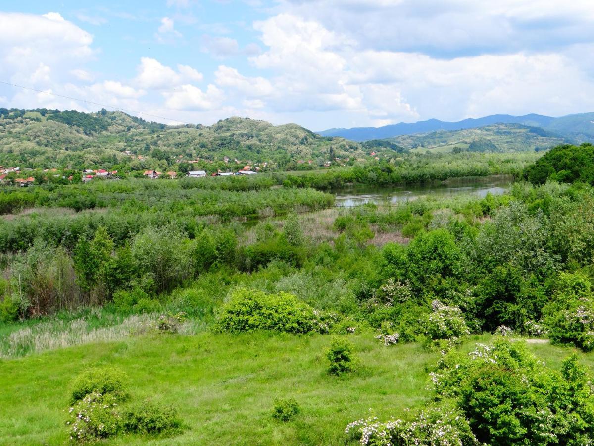 Pensiunea Lacul Albesti Albestii Paminteni Exterior photo