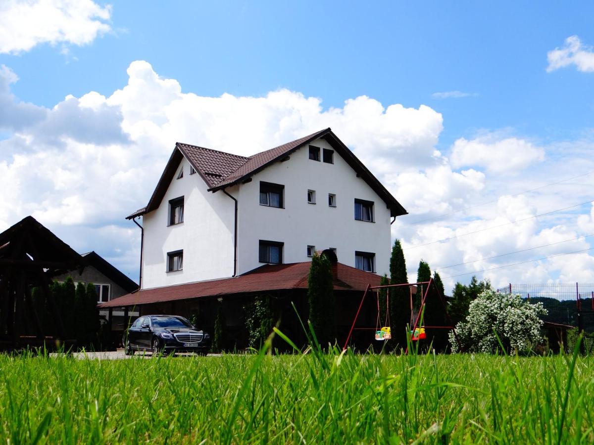 Pensiunea Lacul Albesti Albestii Paminteni Exterior photo